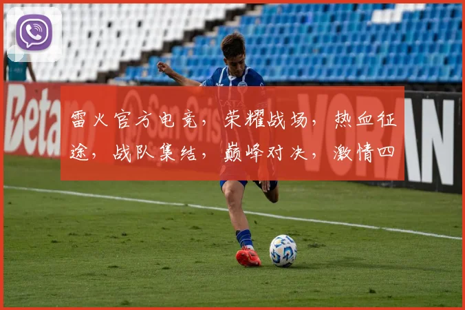 雷火官方电竞，荣耀战场，热血征途，战队集结，巅峰对决，激情四溢