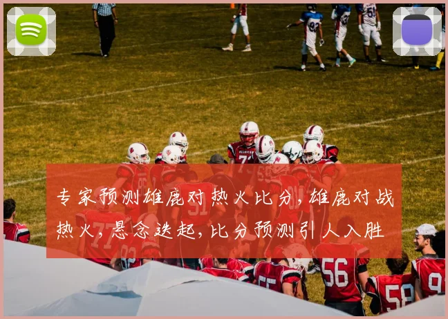 专家预测雄鹿对热火比分,雄鹿对战热火,悬念迭起,比分预测引人入胜,谁将笑到最后